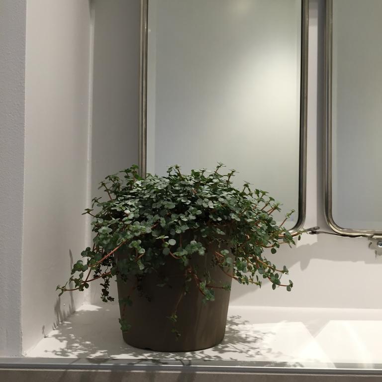 Les Chambres De L'Imprimerie โบน ห้อง รูปภาพ